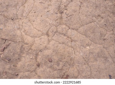 Brown Earth Texture Useful As A Background