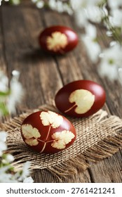 Brown Easter eggs dyed with onion peels with a pattern of fresh herbs on a wooden table