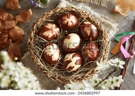 Brown Easter eggs dyed with onion peels with a pattern of fresh leaves in a basket 