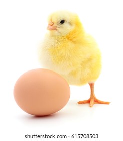 brown egg and chicken isolated on a white background