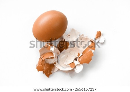 Brown egg and eggshell on white. Benefits of eggshell concept.