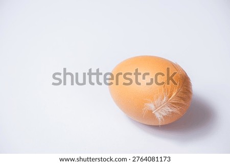 Brown egg featuring a delicate white feather on its surface, set against a plain white background, ideal for food or farming-related content