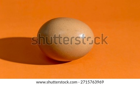 Brown egg on orange surface with shadow, highlighting simplicity, texture, and minimalist composition.