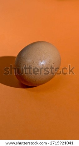 Brown egg on orange surface with shadow, emphasizing texture, form, and minimalist visual composition.