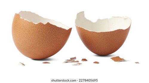 brown egg shell broken or crack with pieces scattered on the surface, isolated on white background, cut out - Powered by Shutterstock