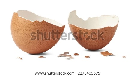 brown egg shell broken or crack with pieces scattered on the surface, isolated on white background, cut out