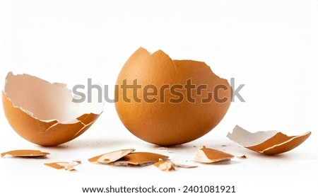 brown egg shell broken or crack with pieces scattered on the surface, isolated on white background, cut out