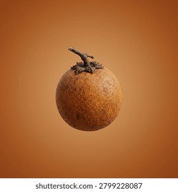 Brown egg with small black bug on orange background