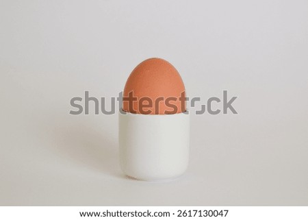 A brown egg in a white eggcup with a white background.