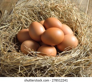 Brown eggs in a nest - Powered by Shutterstock