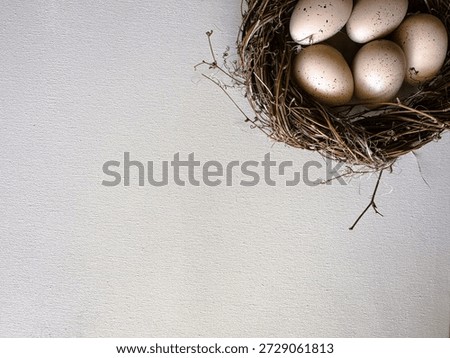 Brown eggs in nest placed in corner for East. Top view of brown eggs in a nest for Easter (Ostern). Newsletter templates and invitation cards.