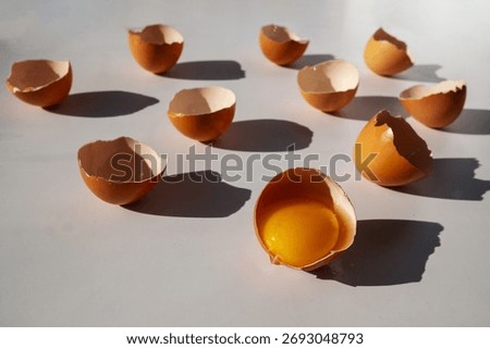 Brown eggshell halves scattered on a white surface, one shell holding a raw yolk, baking ingredients and food preparation concept, dramatic natural light