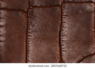 Brown embossed leather texture. Patterned material with visible stitching detail.
