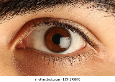 Bloody Eye Images, Stock Photos & Vectors | Shutterstock