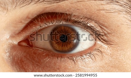 brown eye close up, macro.
