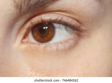 brown eye, closeup