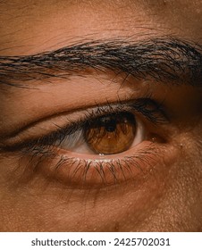 A brown eye with lashes