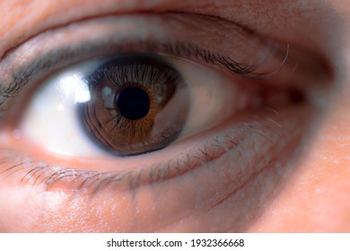 
brown eye and pupil, macro photo.