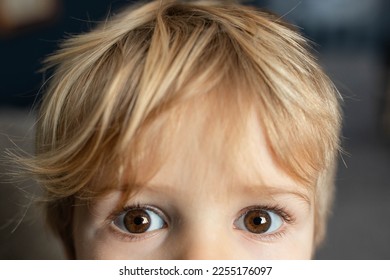 Brown eye small child blond hair - Powered by Shutterstock