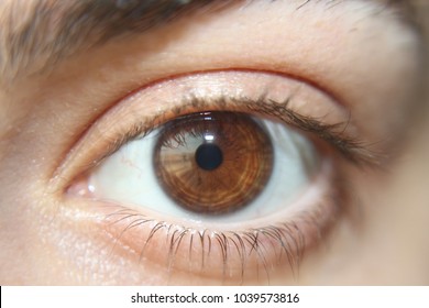 Brown Eye With Small Pupil