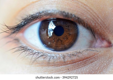 brown eyes