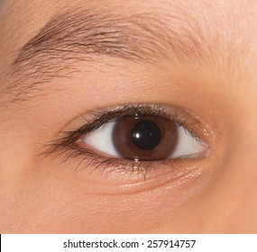brown eyes macro