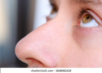 Brown Eyes And Nose Of A Young Man Close-up, Concept Of Restoration Of Human Vision, Health Of The Optic Nerve, Nervous Tic, Myopia, Hyperopia, Facial Skin Care