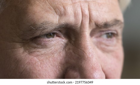 Brown Eyes Of Serious Older Grey Man Looking Away. Upper Face, Nose, Dry Facial Skin With Wrinkles Close Up. Cropped Shot, Banner. Elderly Age, Geriatric Process, Eye Care, Vision