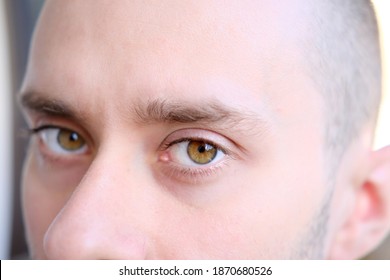 Brown Eyes Of A Young Man Close Up, Human Vision Concept, Optic Nerve Health, Nervous Tic, Myopia, Hyperopia, Vision Test, Genetic Engineering