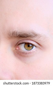 Brown Eyes Of A Young Man Close Up, Human Vision Concept, Optic Nerve Health, Nervous Tic, Myopia, Hyperopia, Vision Test, Genetic Engineering