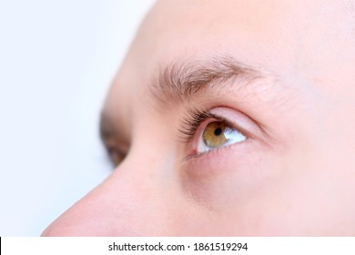 brown eyes of a young man close-up, concept of restoration of human vision, health of the optic nerve, nervous tic, myopia, hyperopia, vision test