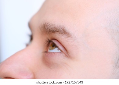 Brown Eyes Of A Young Man Close-up, Concept Of Restoration Of Human Vision, Health Of The Optic Nerve, Nervous Tic, Myopia, Hyperopia, Vision Test