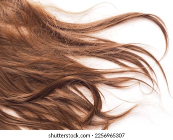 Brown female frizzy hair on white background. Concept of dry, damaged hair. - Shutterstock ID 2256965307