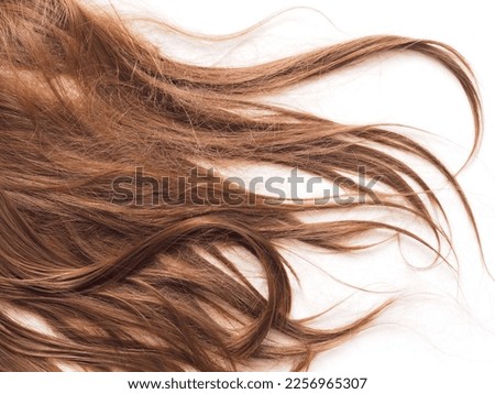Brown female frizzy hair on white background. Concept of dry, damaged hair.