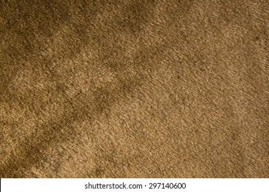 Brown Fur Background