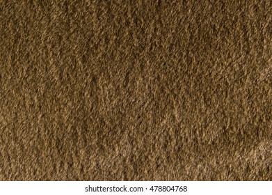 Brown Fur Background