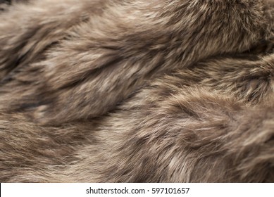 Brown Fur Background