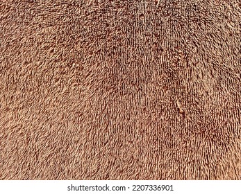 Brown Fur Texture Background Lion Hair