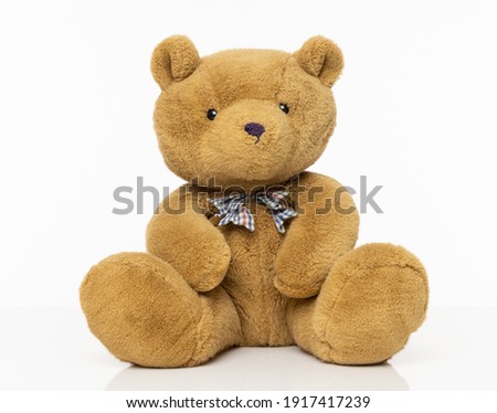 Brown furry Teddy bear isolated on a white background