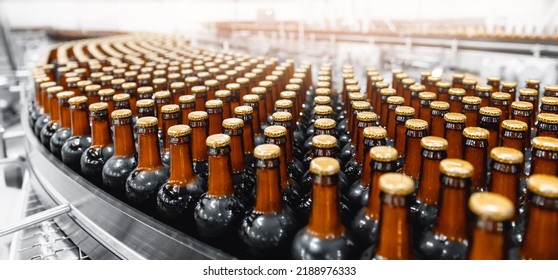 Brown Glass Beer Drink Alcohol Bottles, Factory Brewery Conveyor. Modern Food Production Line With Sun Light.