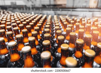 Brown Glass Beer Drink Alcohol Bottles, Factory Brewery Conveyor. Modern Food Production Line With Sun Light.