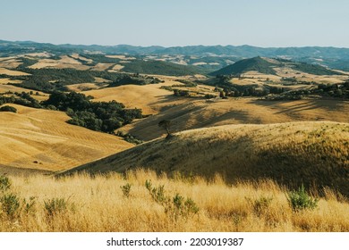 Brown Grass Field Near Mountains


