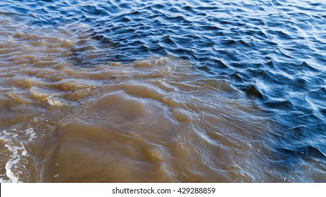 Muddy Water 图片、库存照片和矢量图 Shutterstock