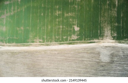 Brown And Green Agricultural Field Above Drone Top View