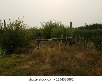 Brown And Green Grasses And Plants And Wood Barricade