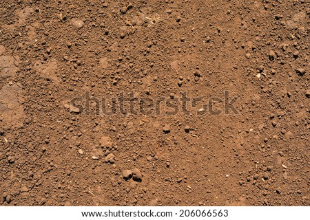 Brown ground surface. Close up natural background