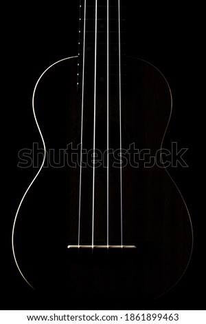 Brown guitar ukulele front view silouette close up