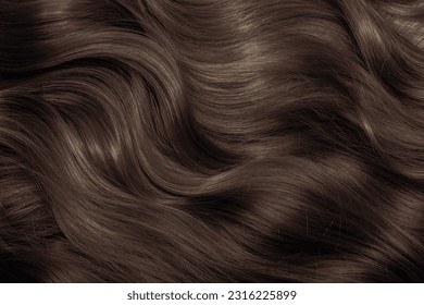 Brown hair close-up as a background. Women's long brown hair. Beautifully styled wavy shiny curls. Hair coloring. Hairdressing procedures, extension.