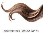 Brown hair isolated on white background. Long wavy ponytail