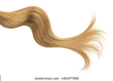 Brown hair isolated on white background. Long wavy ponytail - Shutterstock ID 1401977000